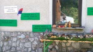 10. Dan Menine in 8. Noč Menine, tema Podzemno bogastvo Menine 17